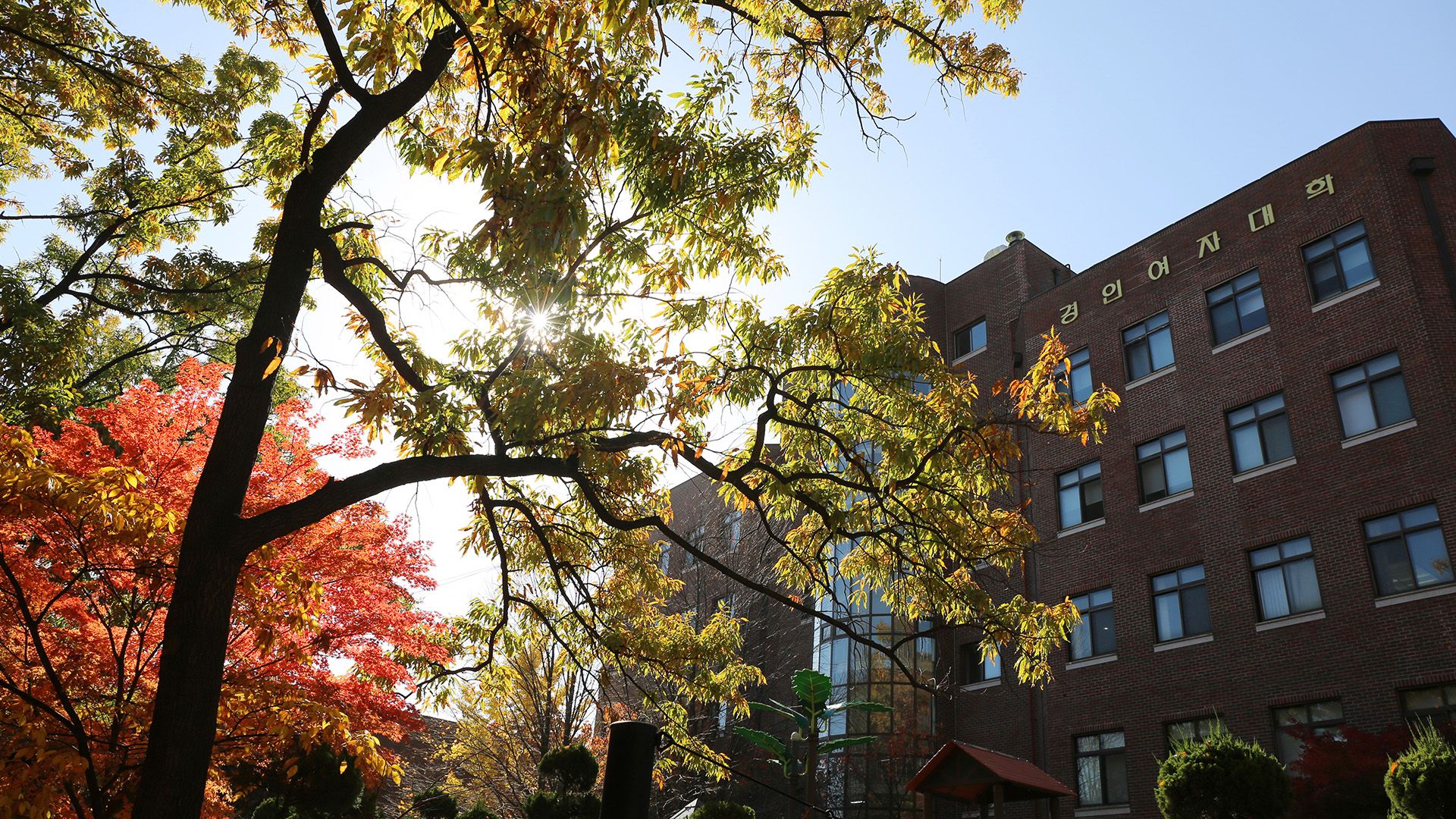 ���ο���